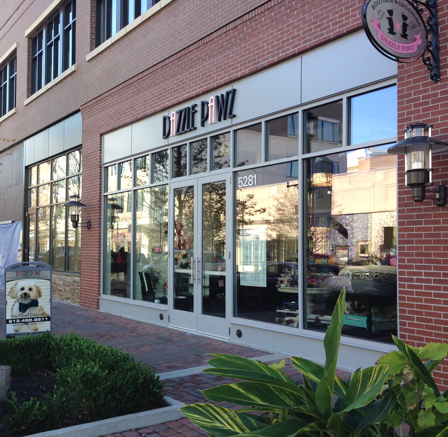 Featured image for “Dazzle Paws”