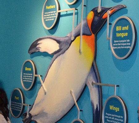 Penguins Exhibit at the Kansas City Zoo