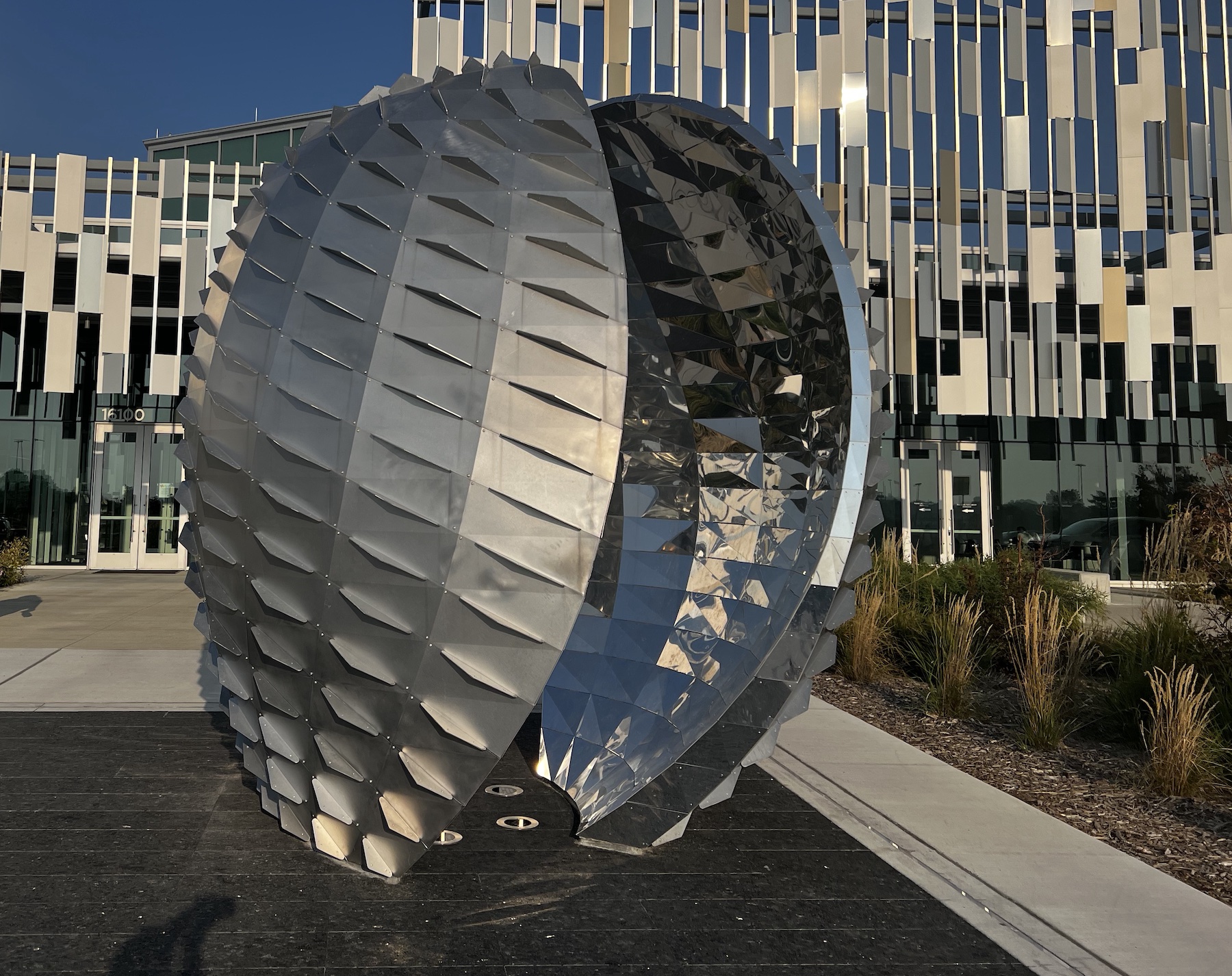 Featured image for “Seed”